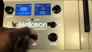 Mellotron 4000D Mini First Look [upl. by Sigler]