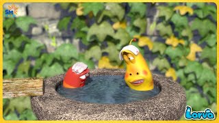 LARVA NEW MOVIES 2025 TAKE A SHOWER  FUNNY VIDEO  Mini Series from Animation LARVA [upl. by Johnson]