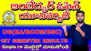 Ambedkar Open University 1th semester results 20241th semester results outBRAOU 1th sem results [upl. by Hieronymus413]