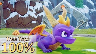 Tree Tops Walkthrough  Spyro the Dragon 120 Walkthrough [upl. by Ardnwahs]