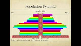 What are Population Pyramids [upl. by Enedan]