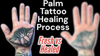 How Palm Tattoos Heal [upl. by Paolo437]