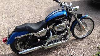 2004 Harley Davidson Sportster 1200 Custom idle and rev [upl. by Aleet]