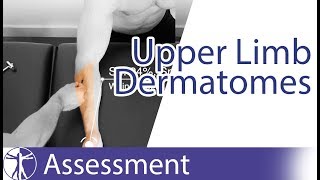 Dermatomes Upper Limb  Peripheral Neurological Examination [upl. by Nichols]