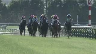 20200524 Yushun Himba Japanese Oaks  Daring Tact [upl. by Lerak]