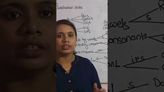 Grammar Essentials Pluralization Rules for Beginners Full video in related video [upl. by Horsey277]