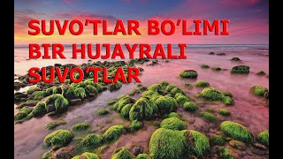 SUVOTLAR BOLIMI BIR HUJAYRALI SUVOTLAR  СУВЎТЛAР БЎЛИМИ БИР ҲУЖAЙРAЛИ СУВЎТЛAР [upl. by Nonie226]