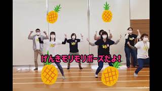 🍍のりのりで踊ろう！『パイナポー体操』🍍【太陽こころっこチャンネル】 [upl. by Alocin701]