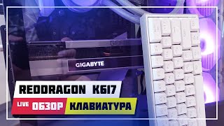 ⌨️ REDDRAGON FIZ K617 RAINBOW ➤ ХОТСВАП МЕХАНИКА С АЛИ ЗА 1 900 ₽ [upl. by Lancaster682]