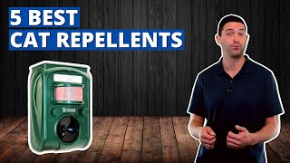 The Best Cat Repellents to Keep Those Pesky Cats Away [upl. by Naul534]