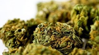 Can Marijuana Help AIDS Patients  Marijuana [upl. by Kcirdnekel]