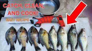 Catch Clean and Cook Bluegill and Crappie EASY PANFISH FRY RECIPE BUBBA BLADE [upl. by Martinelli]