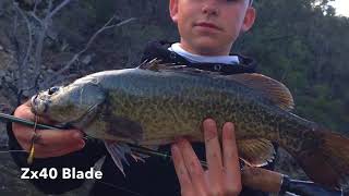 Yellowbelly fishing at Glenlyon dam [upl. by Tammy]