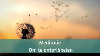 Meditatieoefening om te ontprikkelen [upl. by Goodman30]