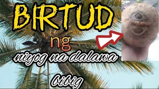 BIRTUDng niyogdalawa bibigagimat [upl. by Werdnaed]