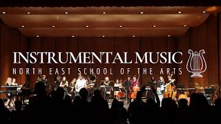 Apply to Instrumental Music at NESA in San Antonio [upl. by Hyps]