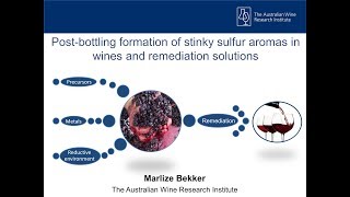 The formation and remediation of stinky sulfur aromas in wines [upl. by Uriiah491]