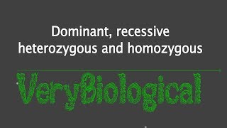 dominant recessive heterozygous and homozygous English [upl. by Htnicayh659]