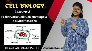 Cell Biology 02  Prokaryotic Cell Cell Envelope amp its Modifications  IIT JAM Biotechnology [upl. by Elery629]