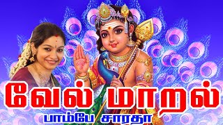 வேல் மாறல்  Vel Maaral  powerful murugan song  Saradha Raaghav [upl. by Noxid185]