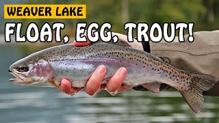 Float Fishing with Pautzke Bait Eggs for Rainbow Trout  Fishing with Rod [upl. by Bodwell]