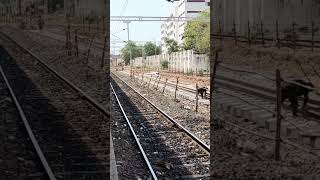 Chennai Beach to Chennai Egmore 4th line construction work at Chennai part on 9th may 2024 [upl. by Noremmac]