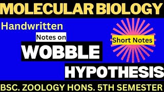 Wobble hypothesis ll CCXI ll bsc zoology hons ll molecular biology ll Inosine base ll wobble base [upl. by Ziom766]