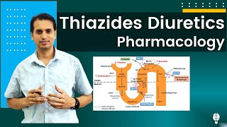 Pharmacology of Thiazides Diuretics  Thiazides  Diuretics [upl. by Adamsen]