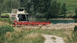 Moisson 2024 Colza Claas  ConVio dans un paysage du Lauragais [upl. by Nol]