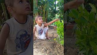 Planting tree by a 2year kids shorts ytshorts ronaldo [upl. by Karney]