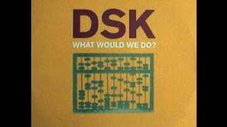 DSK  What Would We Do [upl. by Edson]