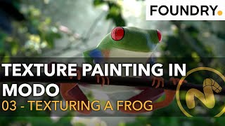 03  Texturing a Tree Frog  Texture Painting in Modo [upl. by Reh]