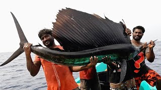 Catching Sail Fish King Fish amp Mahi Mahi Fish in the Deep Sea [upl. by Aynwad]