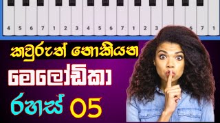 මේ රහස් 05 නොදැන මෙලෝඩිකා ගහන්න එපා  Melodica Lessons For Beginners  melodica [upl. by Sebastian76]