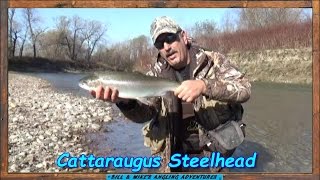 Mid November Steelhead  caught 16 trout [upl. by Eedrahs468]