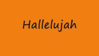 Hallelujah lyrics  Übersetzung deutsch [upl. by Aitas]