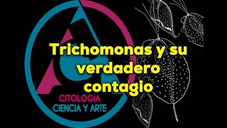 Trichomonas un protozoario que afecta a humanos [upl. by Aihsenak]