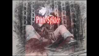 Hide  Pink Spider lyrics [upl. by Elwee]