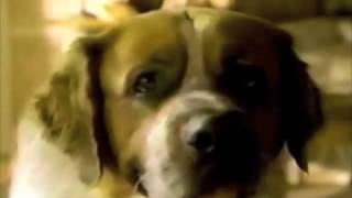 Milk Bone dog biscuits commercial 1991 [upl. by Evie512]