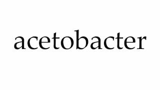 How to Pronounce acetobacter [upl. by Norraf]