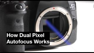 How Dual Pixel Autofocus Works Why The Canon 70D Changed The Game [upl. by Lezirg]