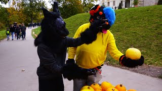 Der Suitwalk im Blühenden Barock Ludwigsburg 2023 [upl. by Onder]