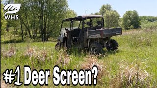 Best And Worst Screening For Deer Hunting [upl. by Dauf]