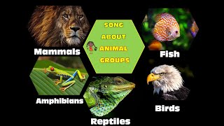 Animal Life Cycle Types and Stages  Primary School Science Animation [upl. by Gilemette]