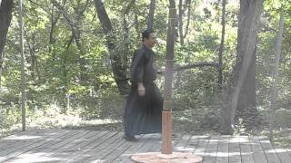 Naginata Basic cuts [upl. by Ammadas]