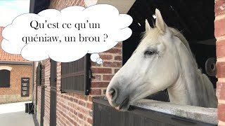 Le patois Boulonnais  quest ce quun quéniaw et un brou [upl. by Hsepid]