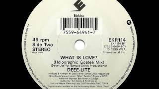 DeeeLite  What is Love Holographic Goatee Mix [upl. by Analise]