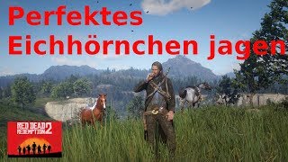 Perfektes Eichhörnchen erlegen Red Dead Redemption 2 [upl. by Esiom782]