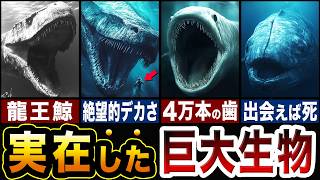 実在した海の巨大生物が怖すぎる…古代の巨大生物ランキングTOP5【ゆっくり解説】 [upl. by Eltsirc]