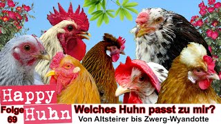 E69 Welches Huhn passt zu mir Rassewahl  HAPPY HUHN  50 Hühnerrassen im Vergleich Hühner Auswahl [upl. by Eyk]